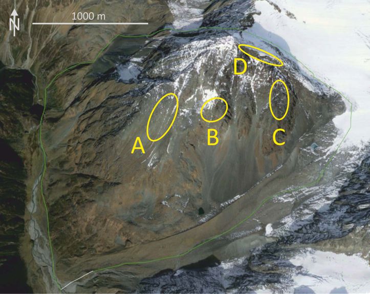 Top view of Schrankogel with four transect areas (A-D) and the shape of the
                                 transects composed of 1x1m permanent plots.