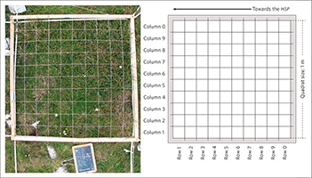 Grid frame for species frequency counts. Left,grid frame mounted on a plot;
                             right, scheme of the 1m×1m grid frame, subdivided into 0.1m×0.1m cells
                             for recording species presence and grazing-related features in each cell.