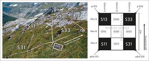 The 3 m × 3 m quadrat cluster. Left, example from the NE-Alps (2250 m),
                             quadrat cluster in the S-direction; right, scheme of the quadrat cluster with the
                             quadrat codes and numbers of the measurement points (corner points).