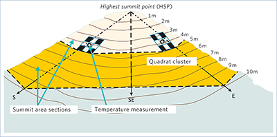 The Multi-Summit sampling design shown on an example summit:
                                                  oblique view with schematic contour lines