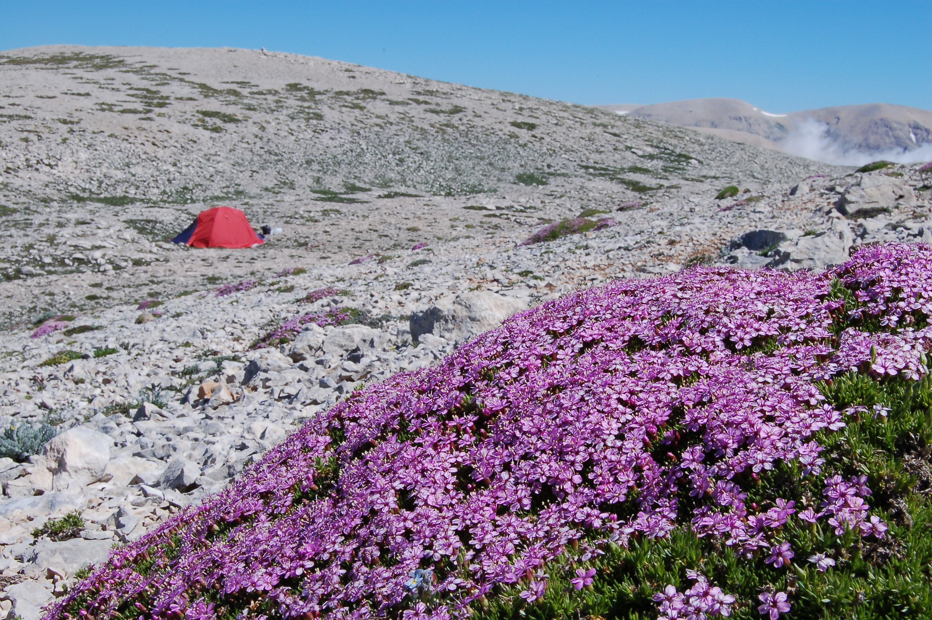 IT-CAM,
                                     Majella                                      &copy; Photo by Giovanni Pelino                                         