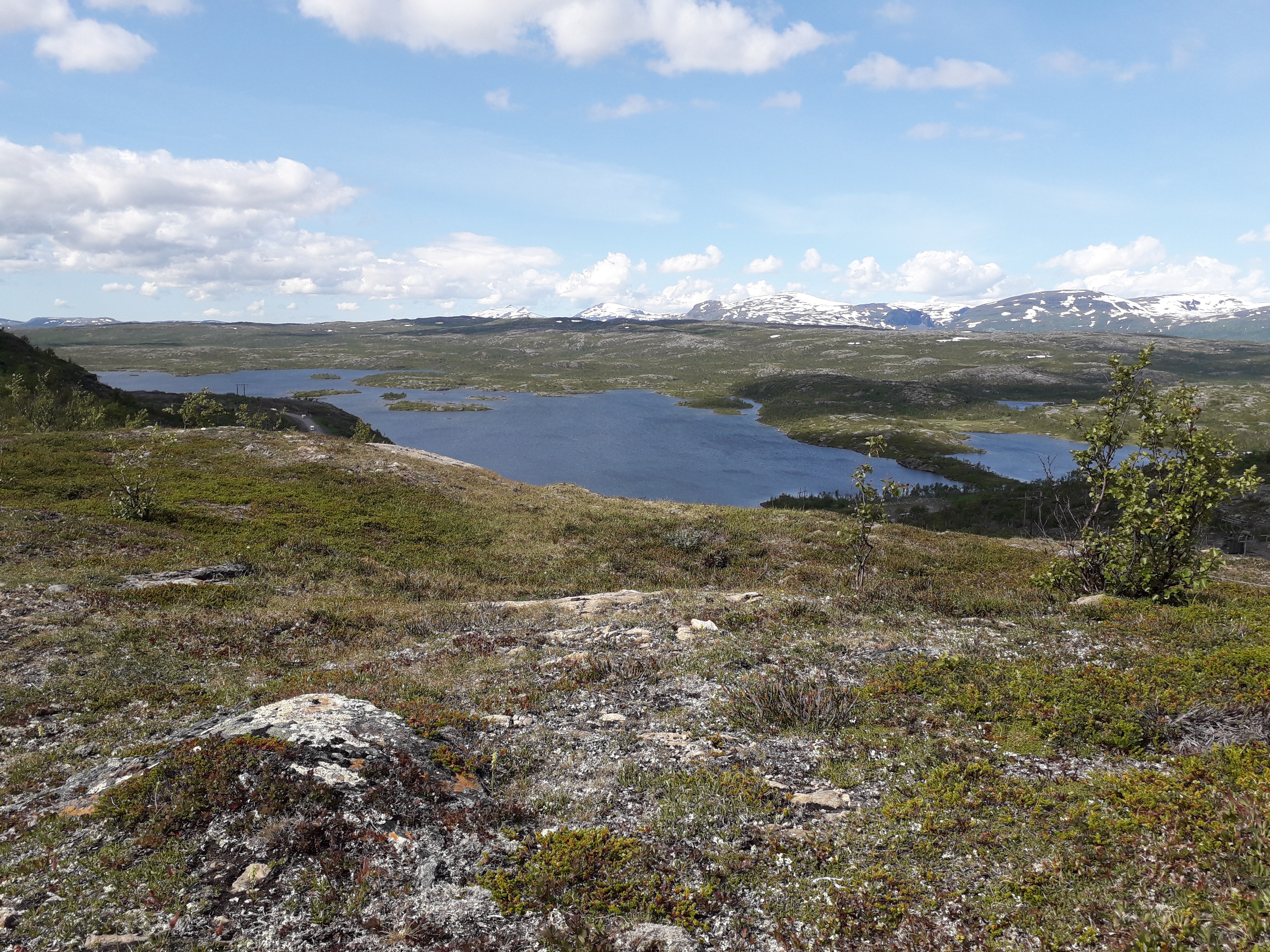 SE-LAT,
                                     Photo on the summit of the lowest summit (RVA) at LAT                                      &copy; Pieter De Frenne                                         